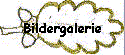 Bildergalerie